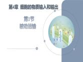 人教版2019必修一高中生物《分子与细胞》4.1被动运输新课课件