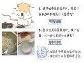 人教版2019必修一高中生物《分子与细胞》4.1被动运输新课课件