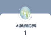 人教版2019必修一高中生物《分子与细胞》4.1被动运输新课课件