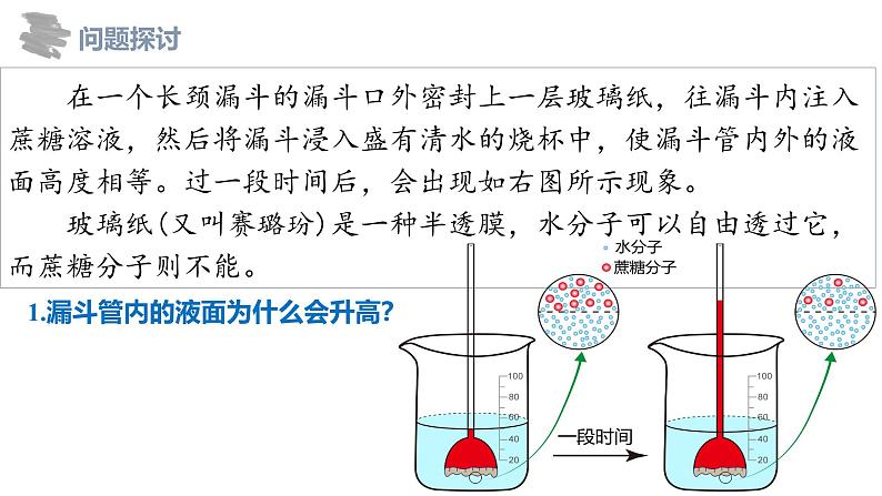 人教版2019必修一高中生物《分子与细胞》4.1被动运输新课课件第6页