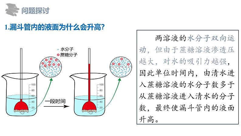 人教版2019必修一高中生物《分子与细胞》4.1被动运输新课课件第8页