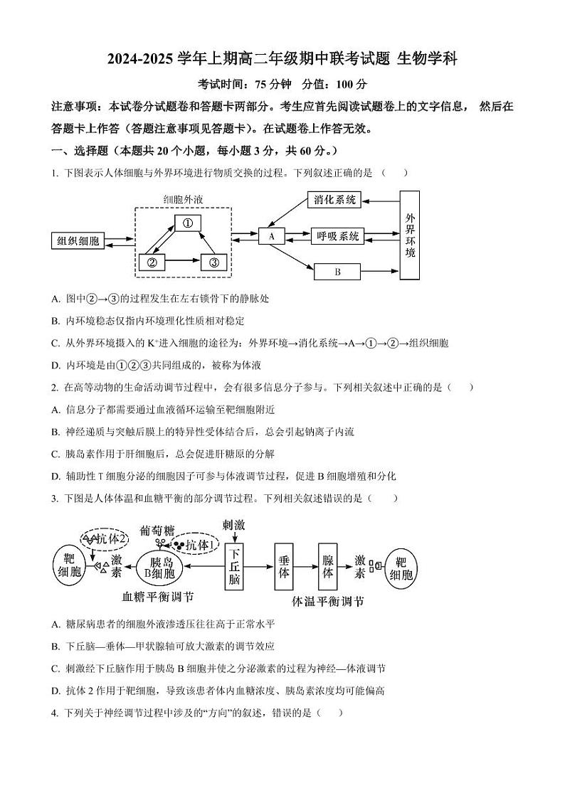 河南省郑州市十校联考2024-2025学年高二上学期11月期中生物试题第1页