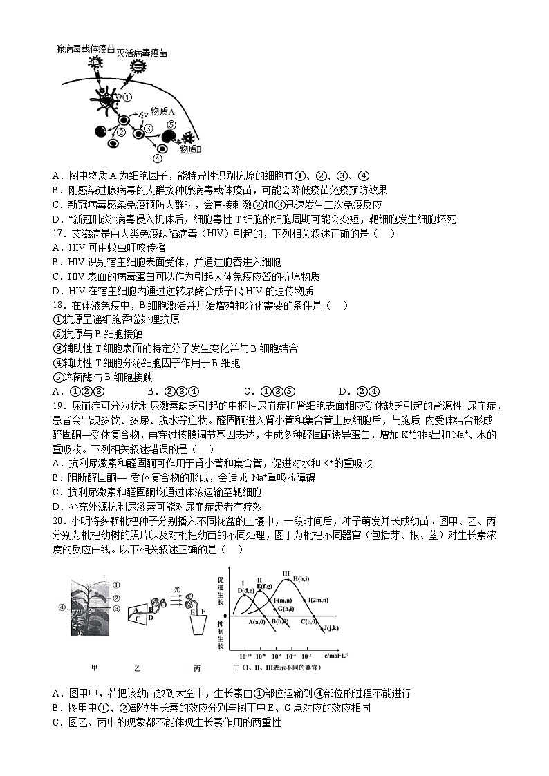 黑龙江省海林市朝鲜族中学2024-2025学年高二上学期第二次月考生物试卷-A4第3页