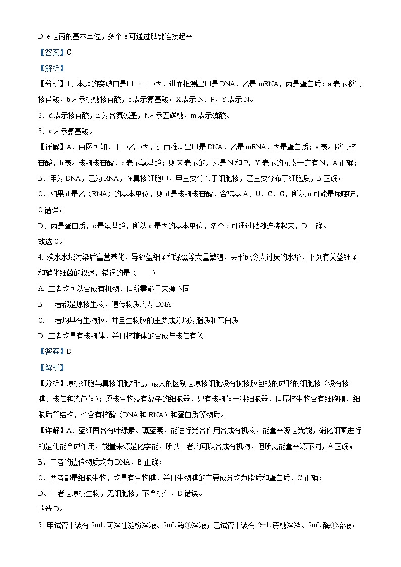 青海师范大学附属实验中学2024-2025学年高三上学期期中考试生物试卷（解析版）-A4第3页
