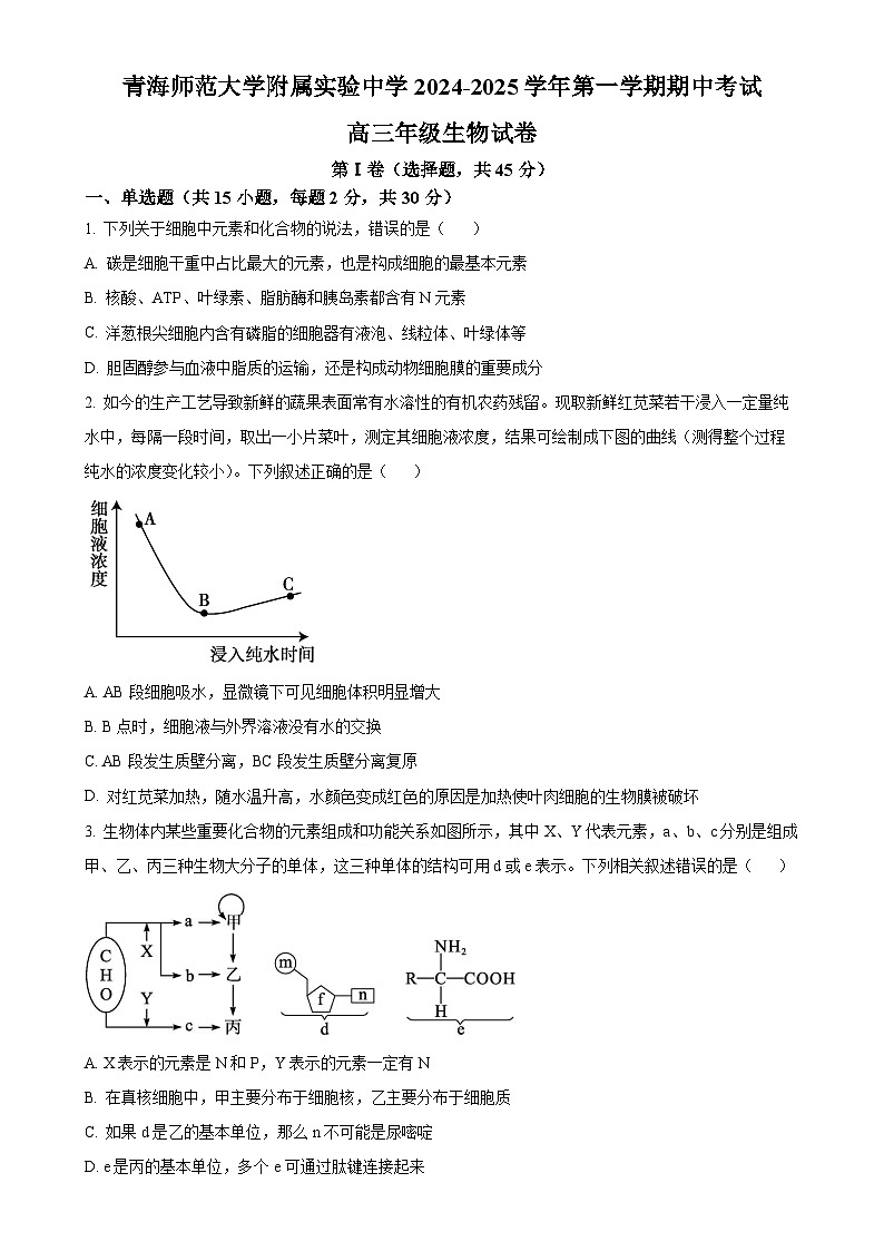 青海师范大学附属实验中学2024-2025学年高三上学期期中考试生物试卷（原卷版）-A4第1页
