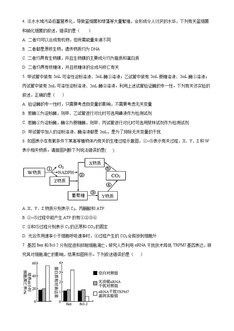 青海师范大学附属实验中学2024-2025学年高三上学期期中考试生物试卷（原卷版）-A4第2页