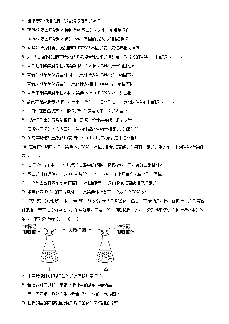 青海师范大学附属实验中学2024-2025学年高三上学期期中考试生物试卷（原卷版）-A4第3页