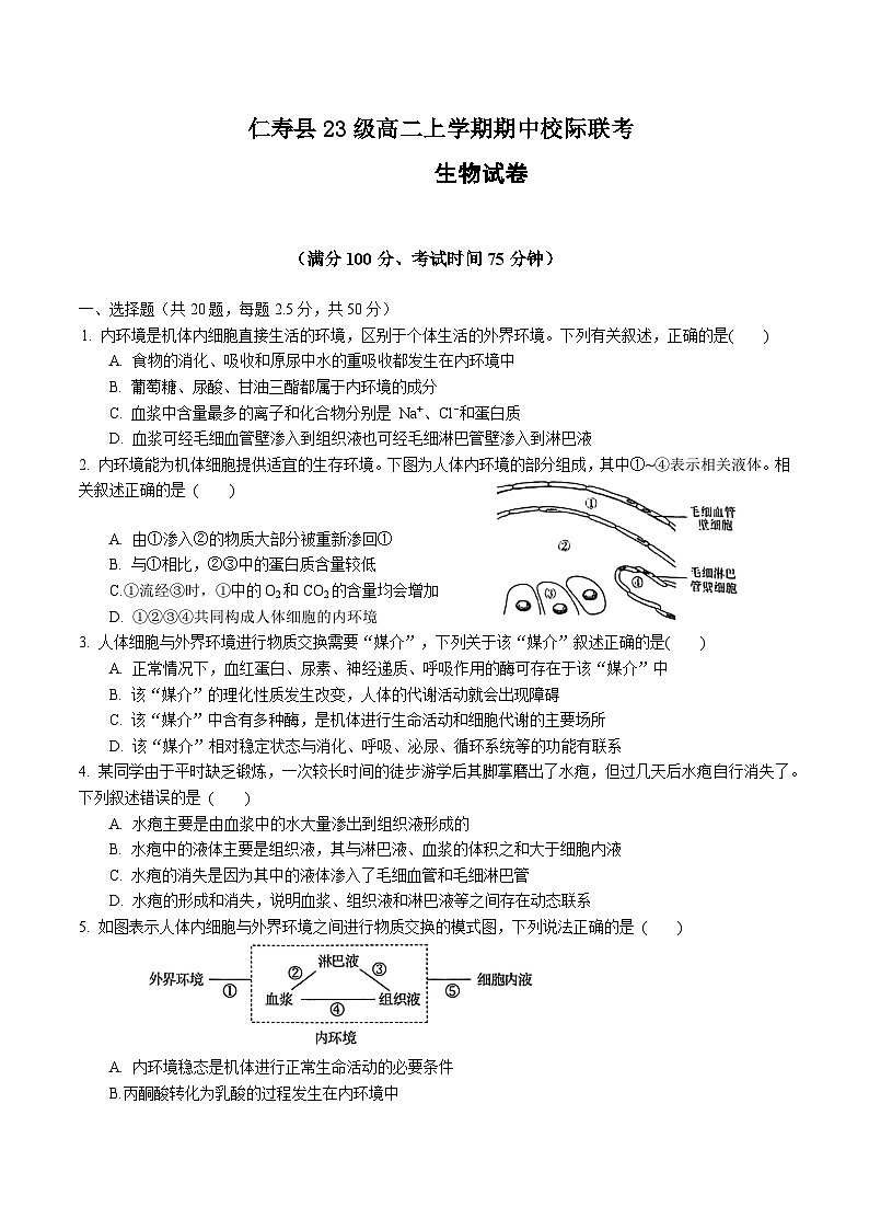四川省眉山市仁寿县2024-2025学年高二上学期11月期中校际联考生物试题第1页
