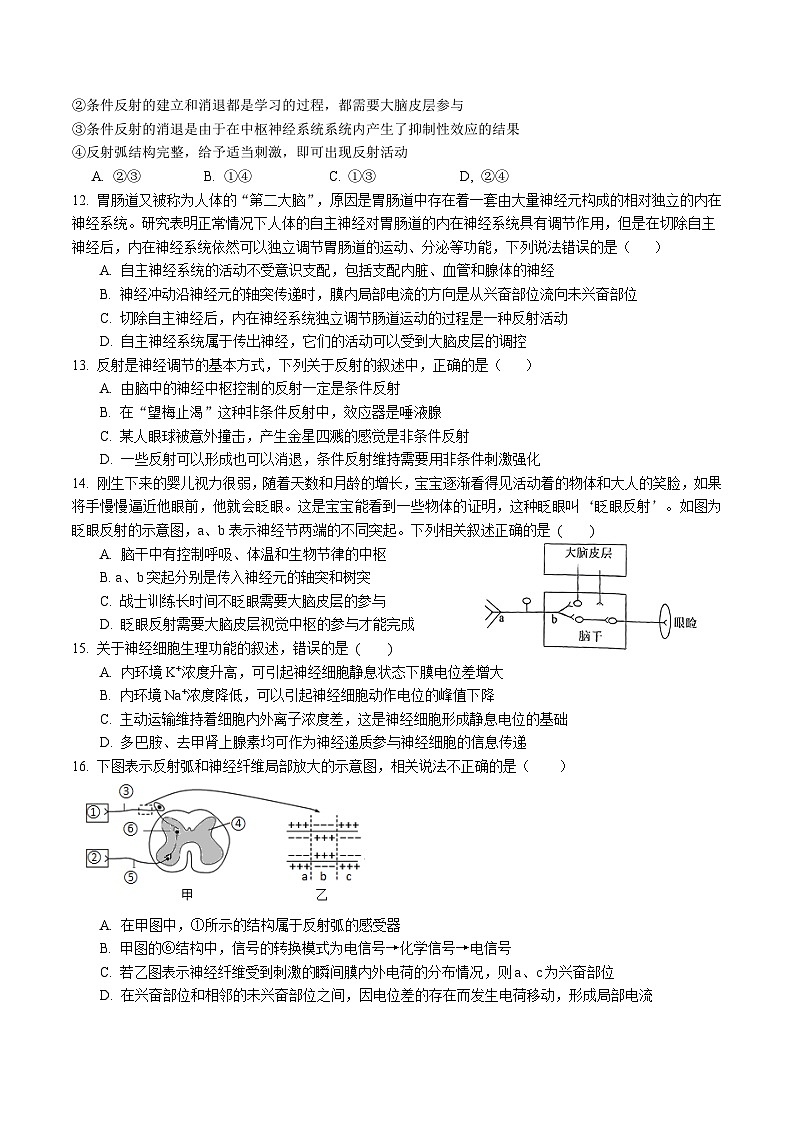 四川省眉山市仁寿县2024-2025学年高二上学期11月期中校际联考生物试题第3页
