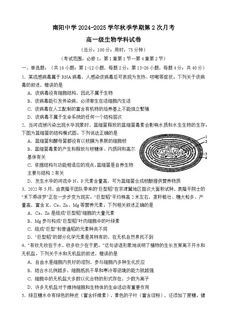 广东省清远市南阳中学2024-2025学年高一上学期第二次月考生物试题第1页