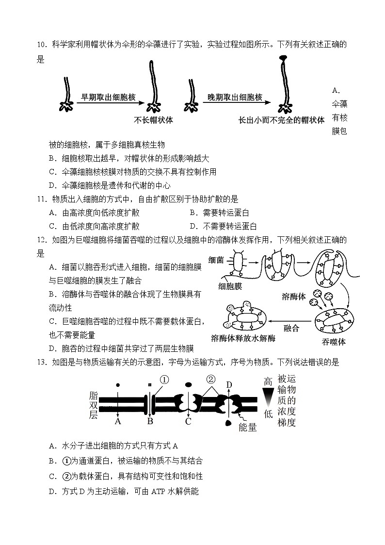 广东省清远市南阳中学2024-2025学年高一上学期第二次月考生物试题第3页