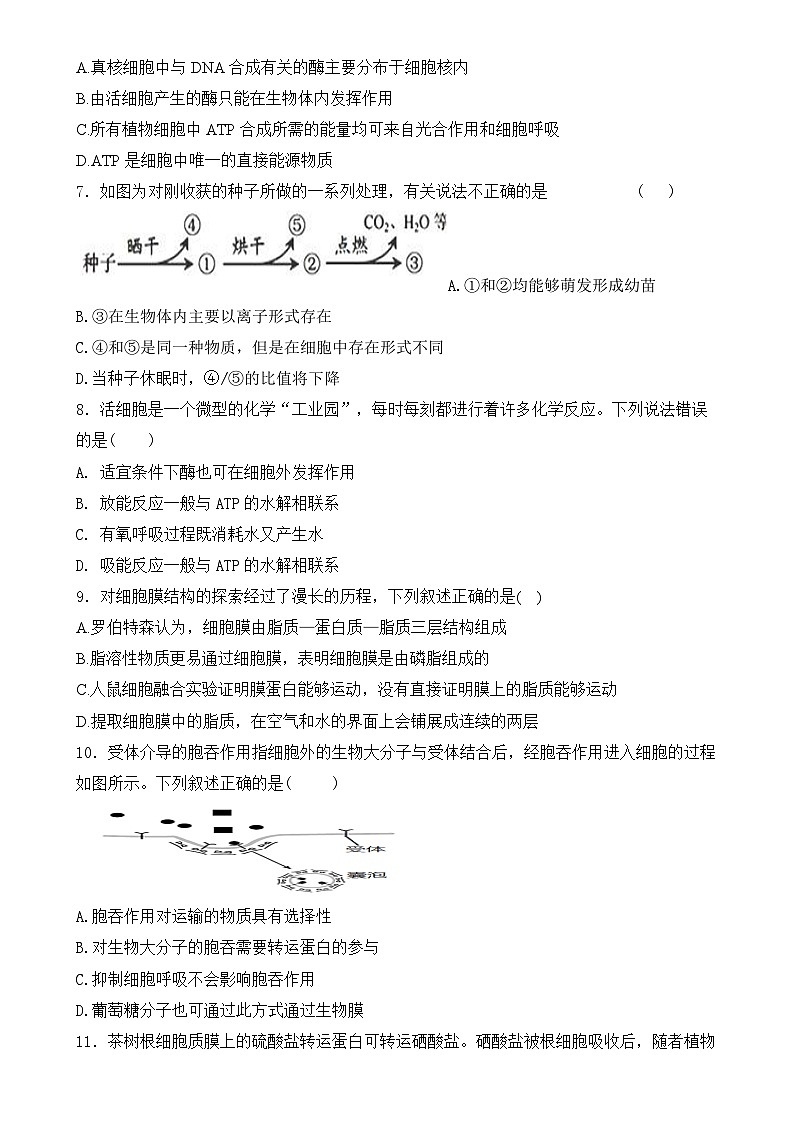 黑龙江省海林市朝鲜族中学2024-2025学年高一上学期第二次月考生物试卷-A4第2页