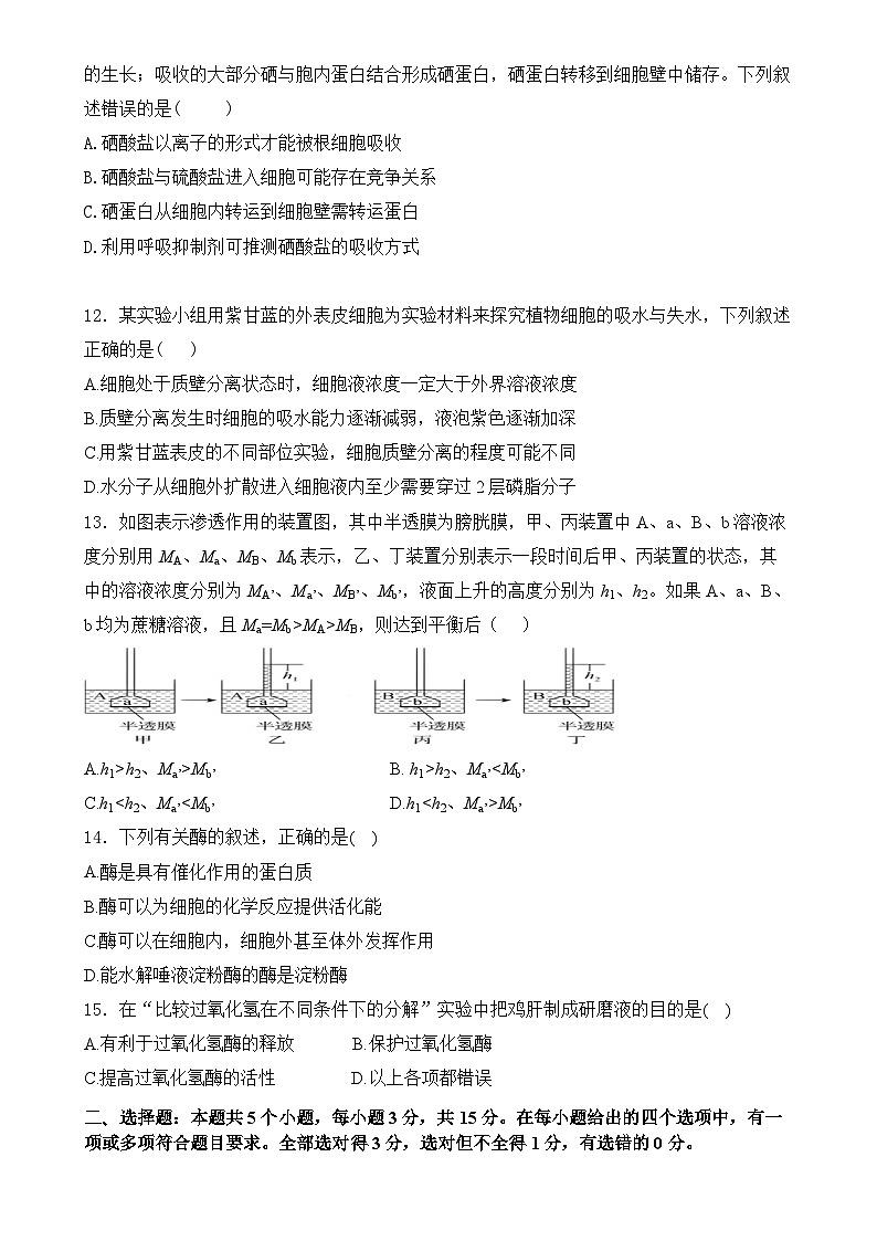 黑龙江省海林市朝鲜族中学2024-2025学年高一上学期第二次月考生物试卷-A4第3页