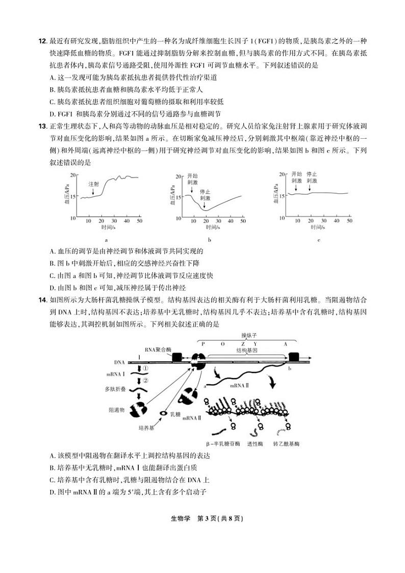 2024～2025学年东北三省高三(上)12月联考生物强化卷(含解析)第3页