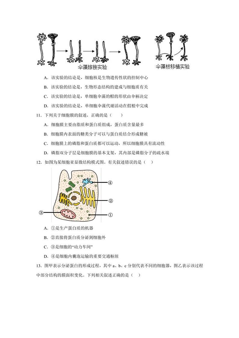 2024～2025学年甘肃省天水市甘谷县甘谷一中高一(上)11月月考生物试卷(含答案)第3页
