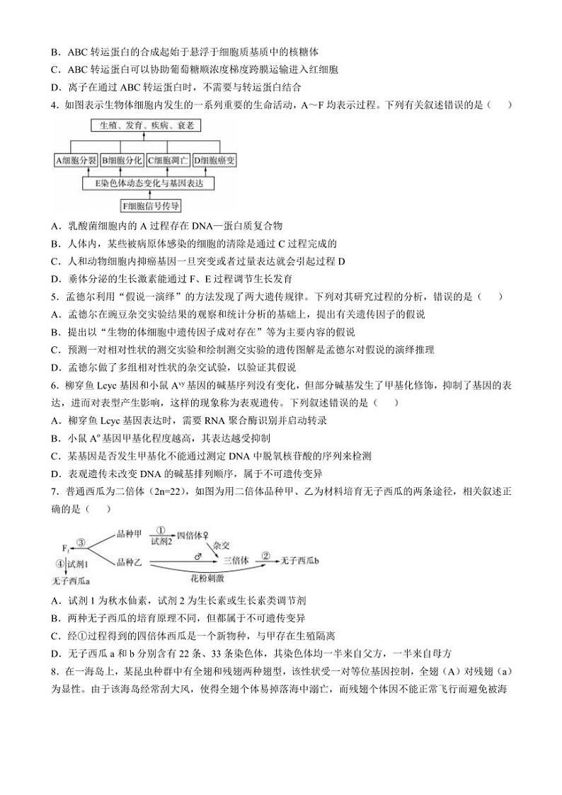 2024～2025学年广东省部分学校高三(上)一轮联考(三)生物试卷(含答案)第2页