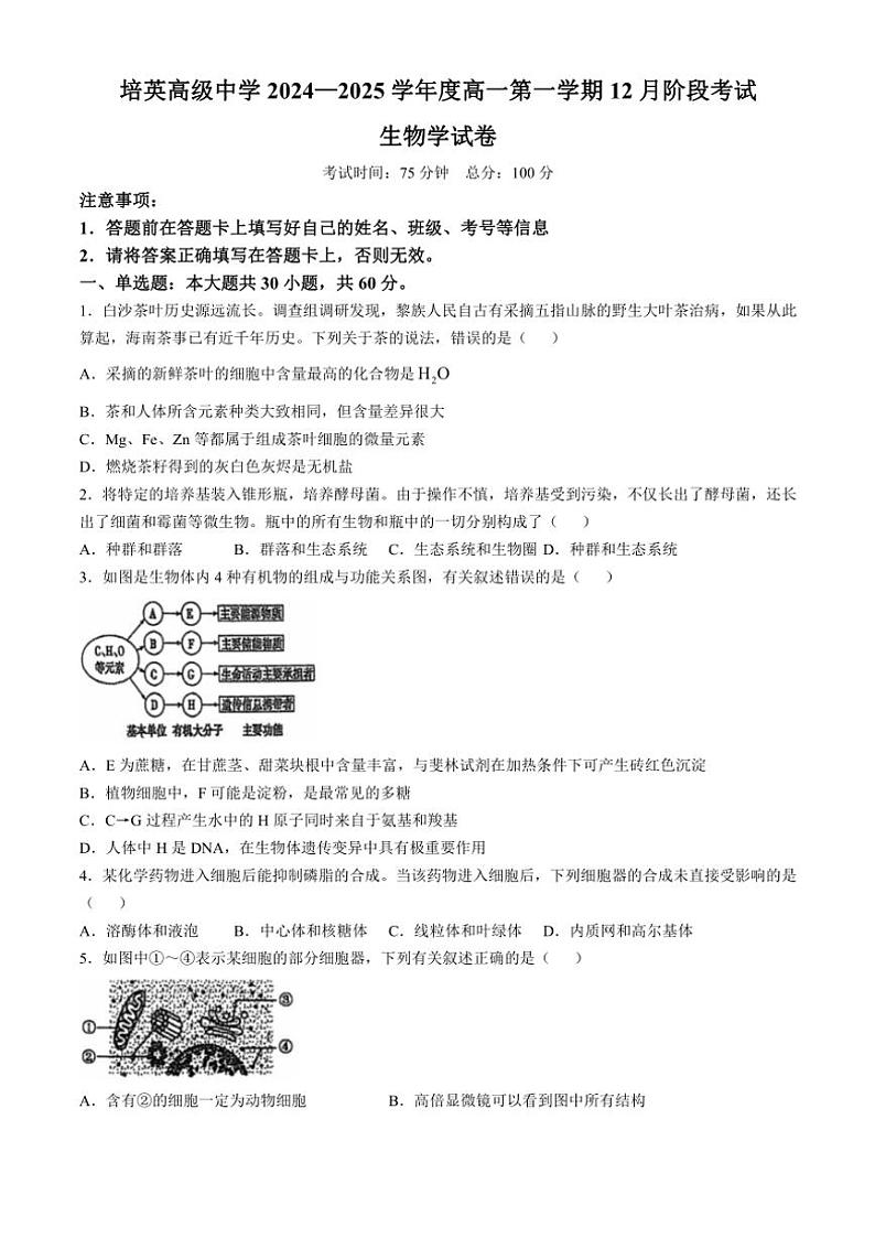 2024～2025学年广东省江门市培英高级中学高一(上)12月月考生物试卷(无答案)第1页