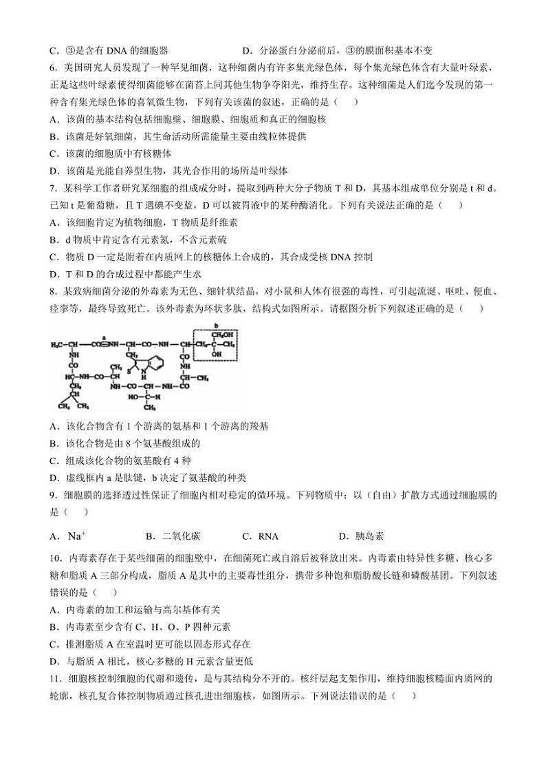2024～2025学年广东省江门市培英高级中学高一(上)12月月考生物试卷(无答案)第2页