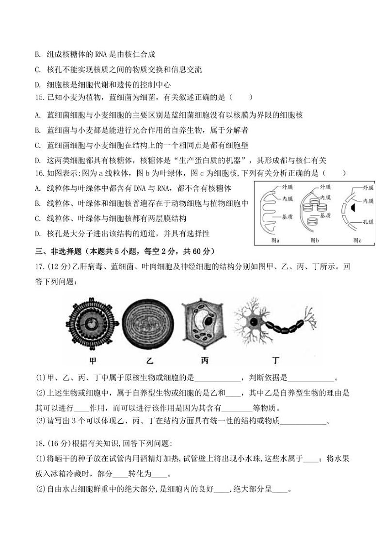 2024～2025学年湖南省衡阳市衡阳县第四中学高一(上)期中生物试卷(含答案)第3页