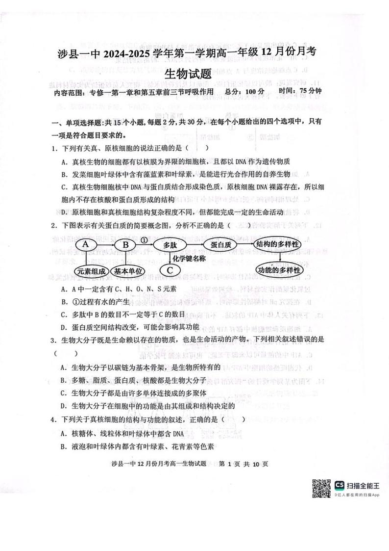 2024～2025学年河北省邯郸市涉县一中高一(上)12月月考生物试卷(含答案)第1页