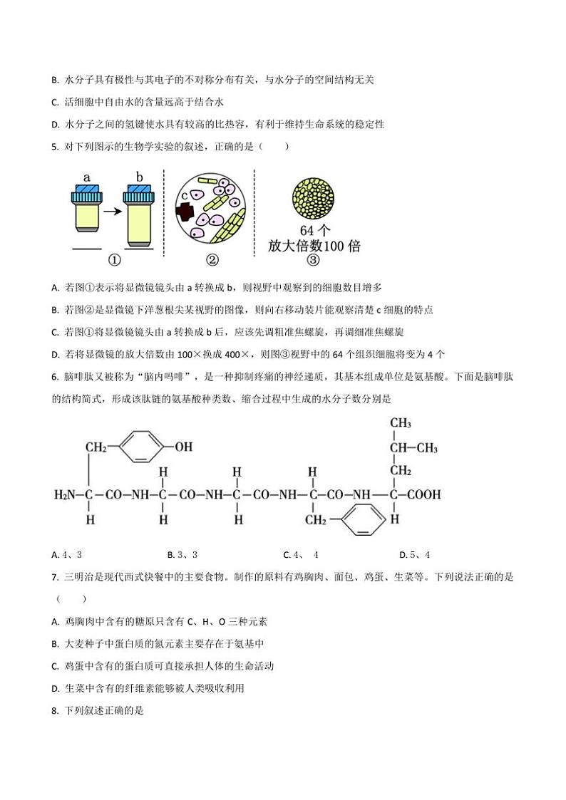 2024～2025学年河北省张家口市高一(上)期中生物试卷(含答案)第2页
