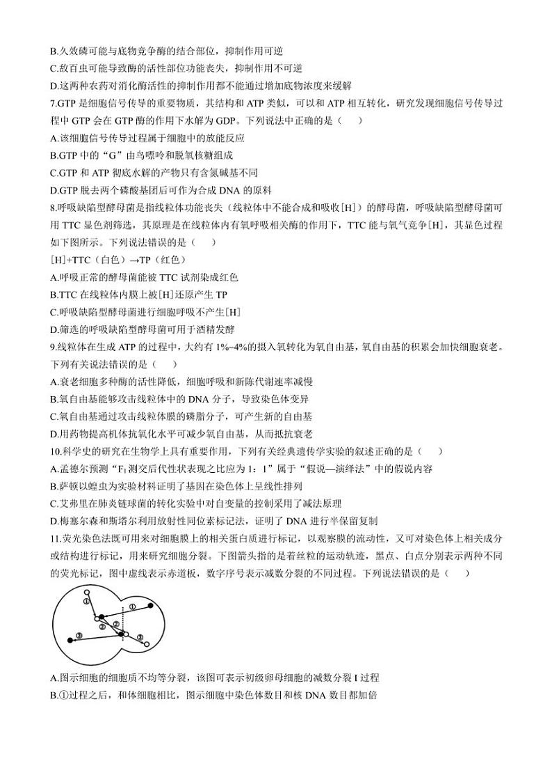 2024～2025学年黑龙江省哈尔滨市德强高级中学高三(上)期中生物试卷(含答案)第2页