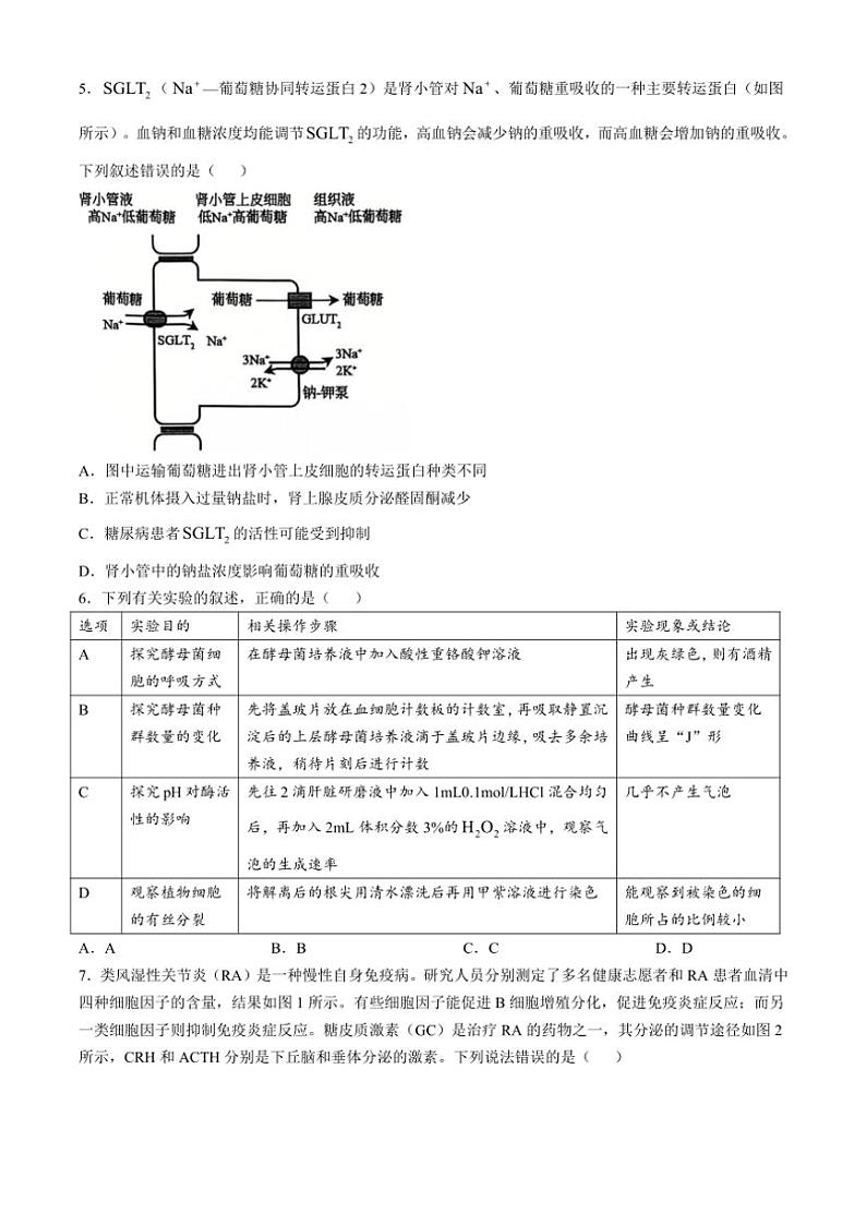 2024～2025学年辽宁省大连市滨城高中联盟高三(上)期中生物试卷(含答案)第2页