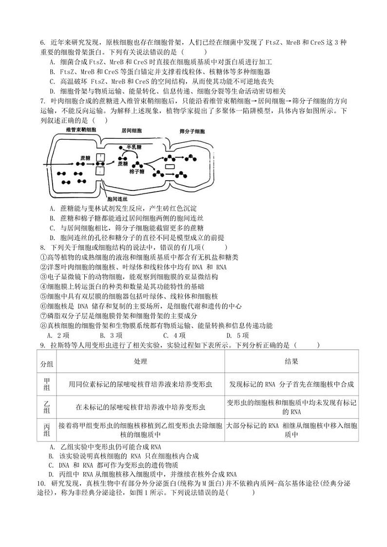 2024～2025学年湖南省湘潭市湘潭县第一中学高一(上)期中生物试卷(含答案)第2页