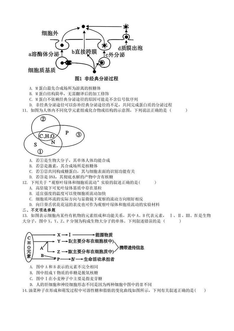 2024～2025学年湖南省湘潭市湘潭县第一中学高一(上)期中生物试卷(含答案)第3页