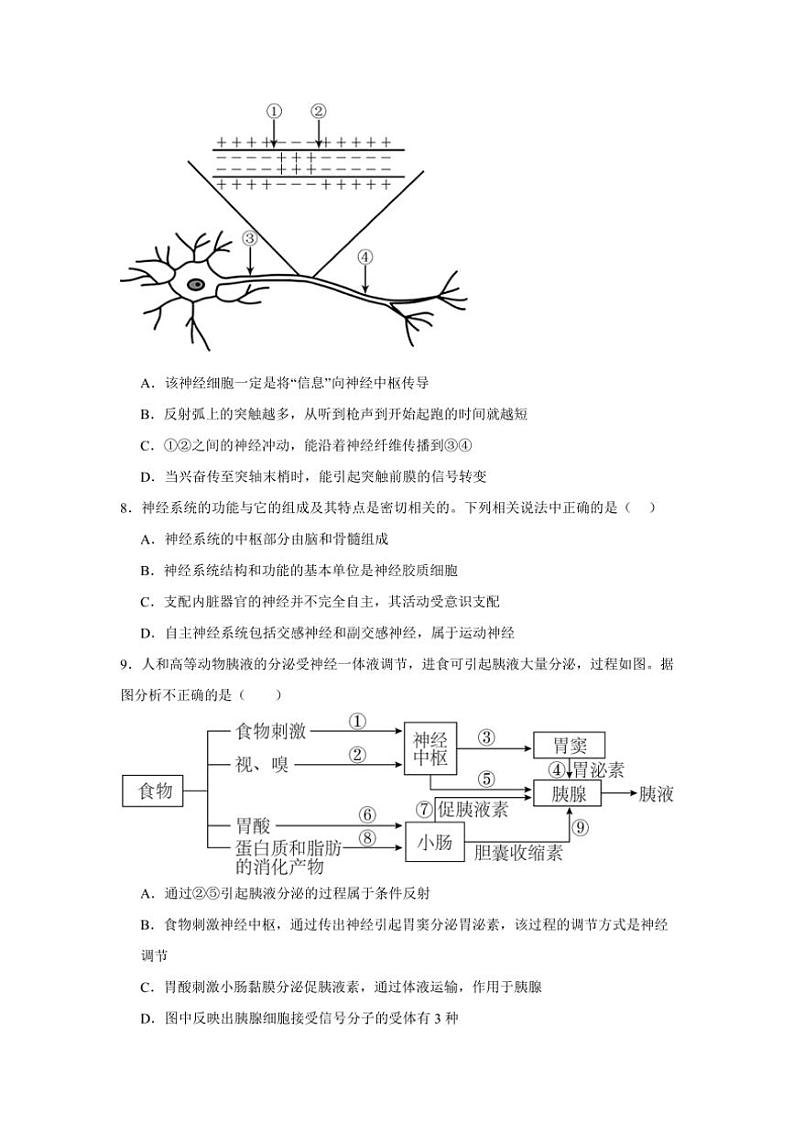 2024～2025学年湖南省岳阳市汨罗市第一中学高二(上)期中生物试卷(含答案)第3页