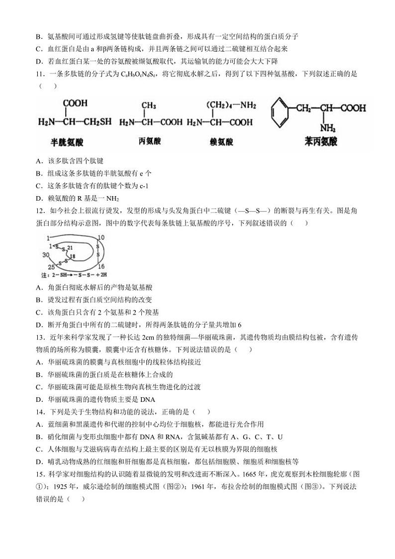 2024～2025学年江苏省徐州市铜山区高一(上)期中生物试卷(含答案)第3页