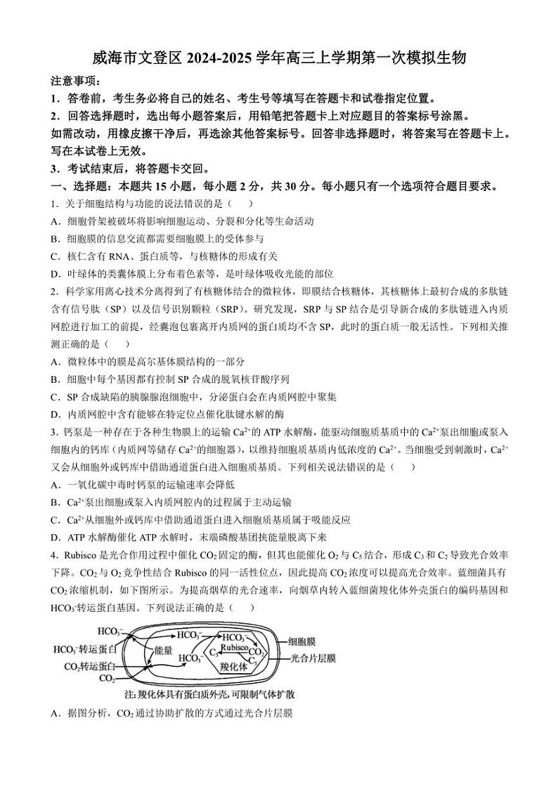 2024～2025学年山东省威海市文登区高三(上)第一次模拟生物试卷(含答案)第1页