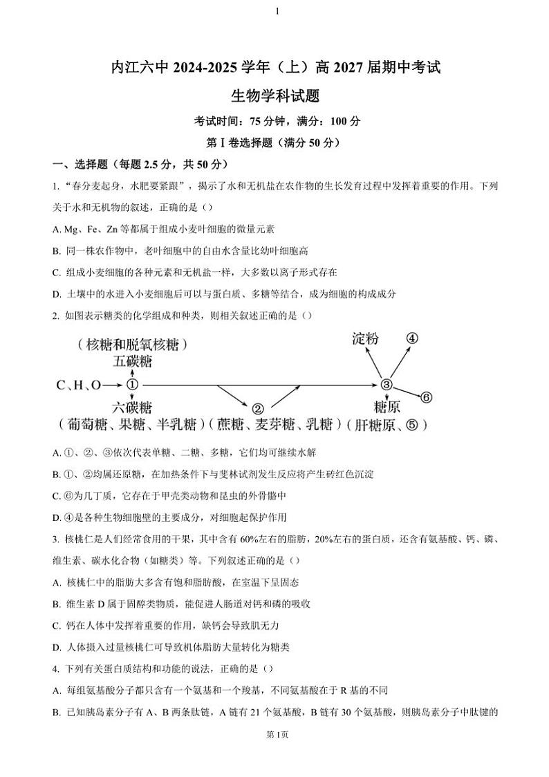 2024～2025学年四川省内江市第六中学高一(上)期中生物试卷(含答案)第1页