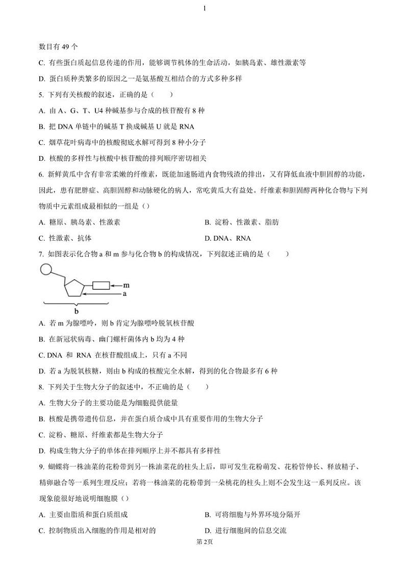 2024～2025学年四川省内江市第六中学高一(上)期中生物试卷(含答案)第2页