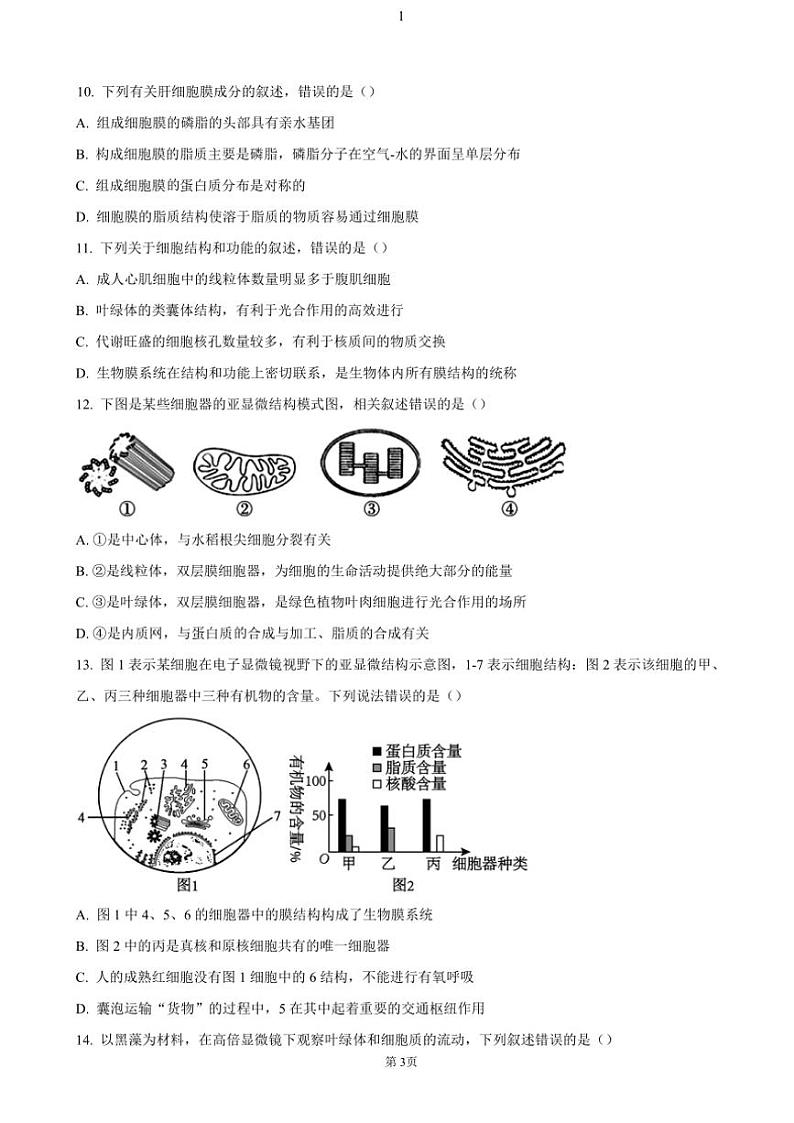 2024～2025学年四川省内江市第六中学高一(上)期中生物试卷(含答案)第3页