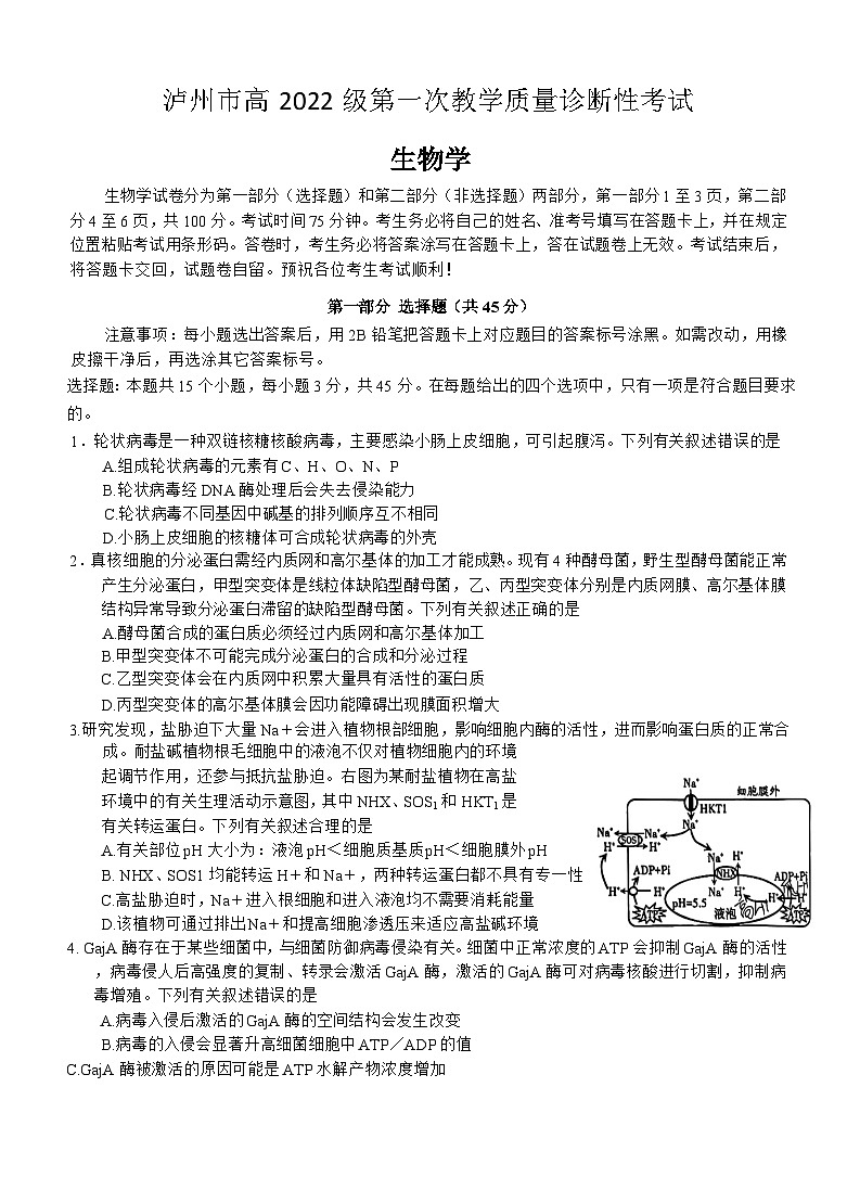 四川省泸州市2025届高三上学期第一次教学质量诊断性考试生物试题（Word版附答案）第1页