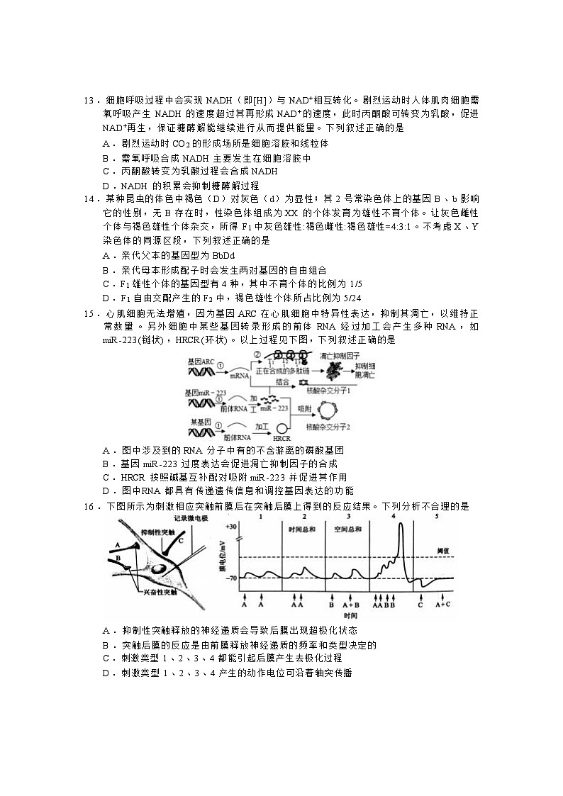 生物试卷第3页