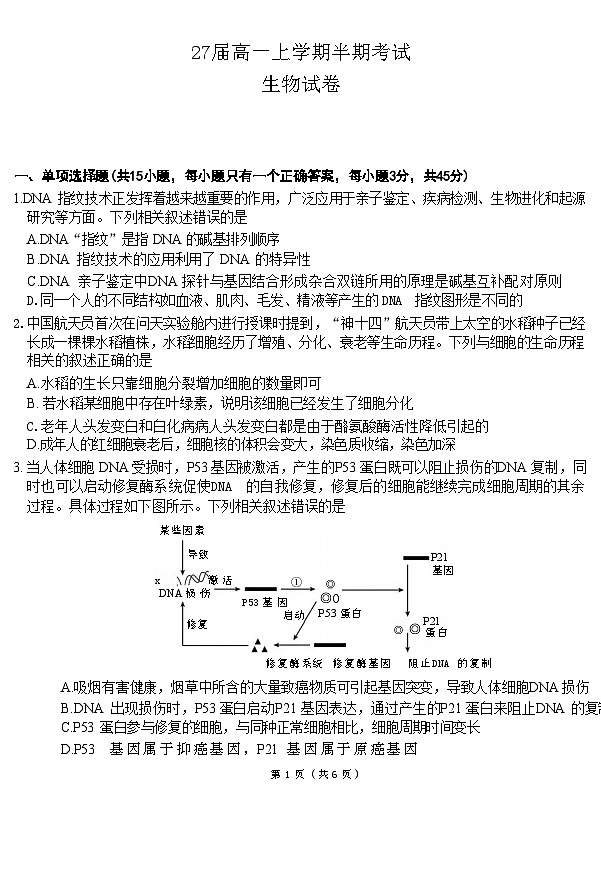 27届高一上学期半期考试生物考试第1页