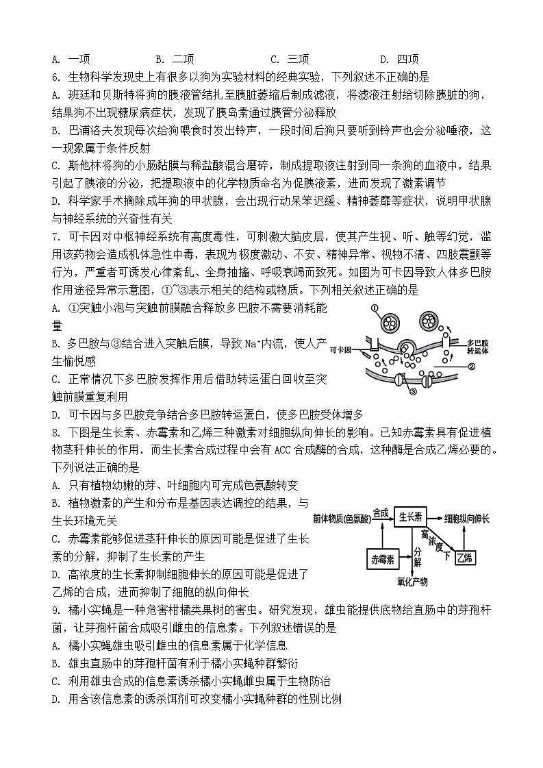 广西新课程教研联盟2024-2025学年高三上学期毕业班11月联考生物试题第2页