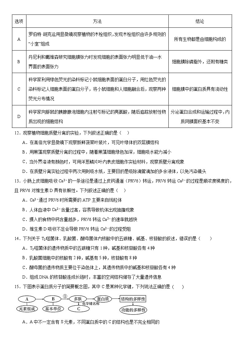 2024级高一上期半期考试生物学试题第3页