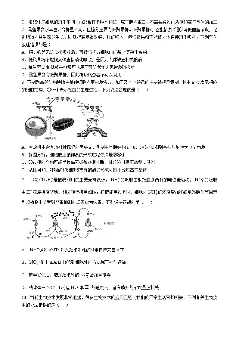 四川省眉山市丹棱县丹棱中学校2024-2025学年高二上学期11月期中生物试题第2页