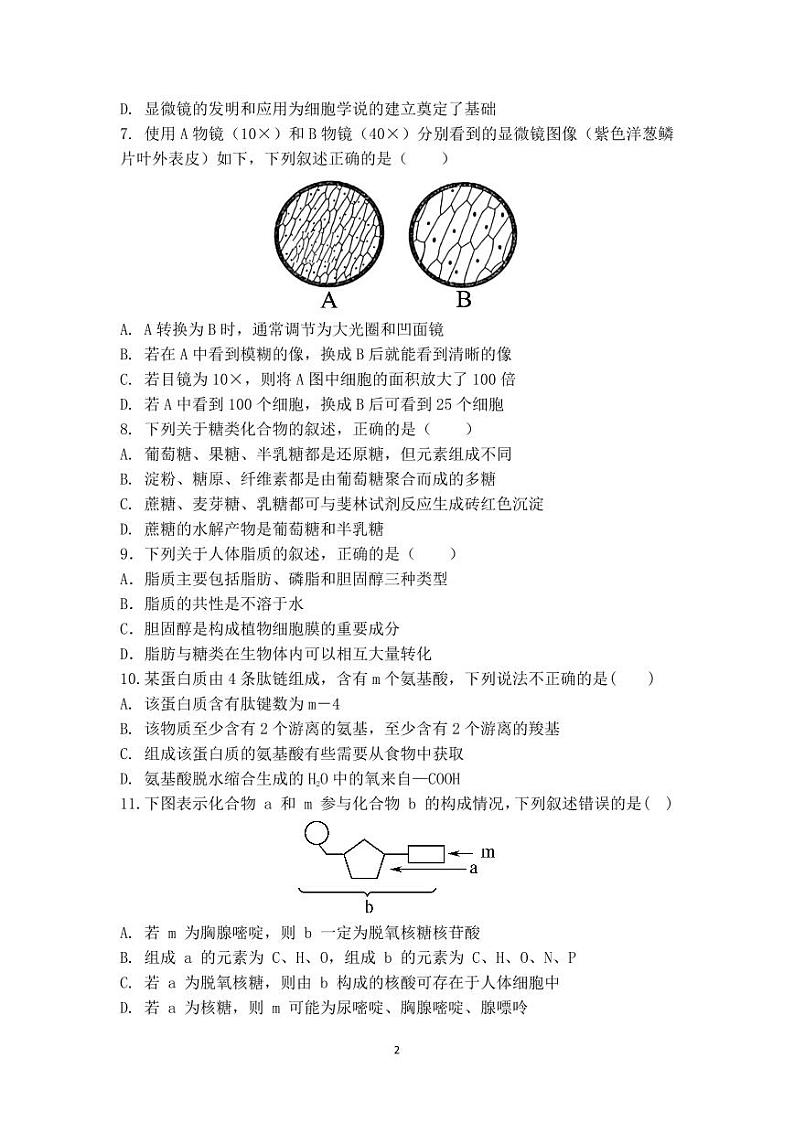 江苏省响水中学，清源高中2024-2025学年高一上学期期中联考生物试题第2页
