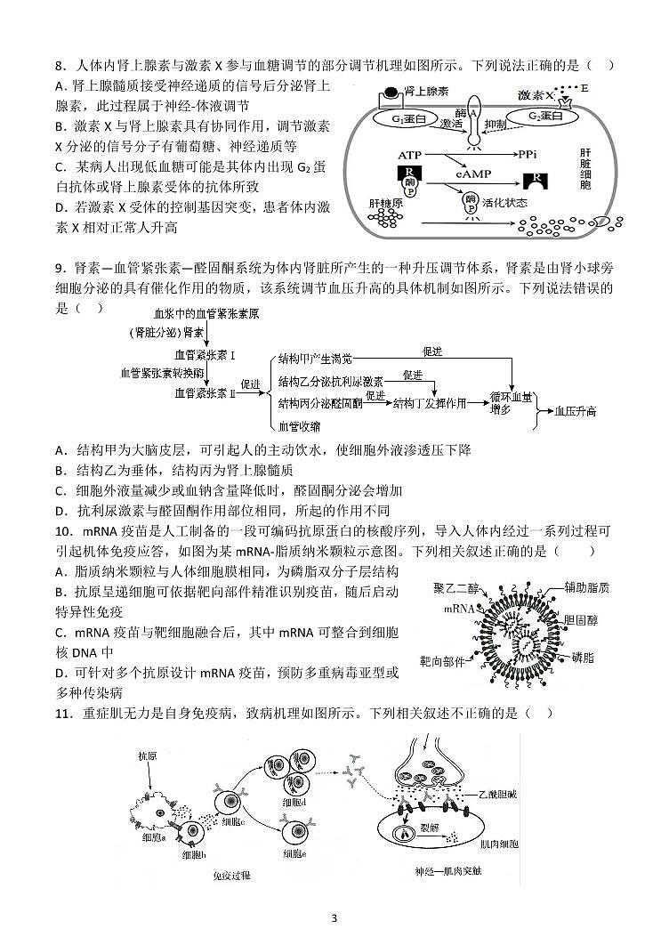 生物试题第3页