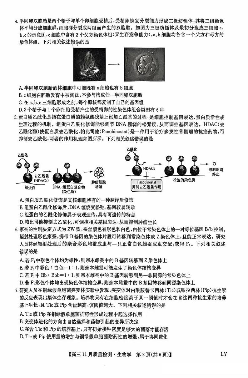 九师联盟河南2024-2025学年高三上学期11.28教学质量检测生物试卷及答案第2页