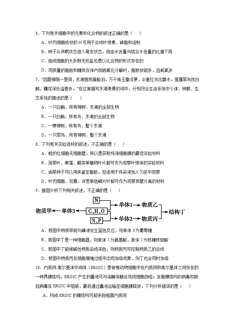 青海省西宁市湟中区多巴高级中学2024-2025学年高一上学期第二次月考生物试卷第2页