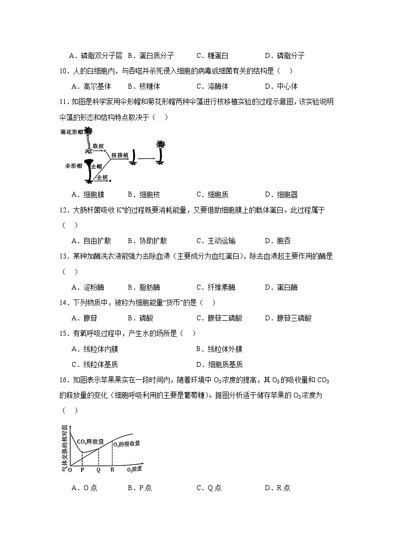 云南省2024年7月高中学业水平合格性考试生物试卷第2页