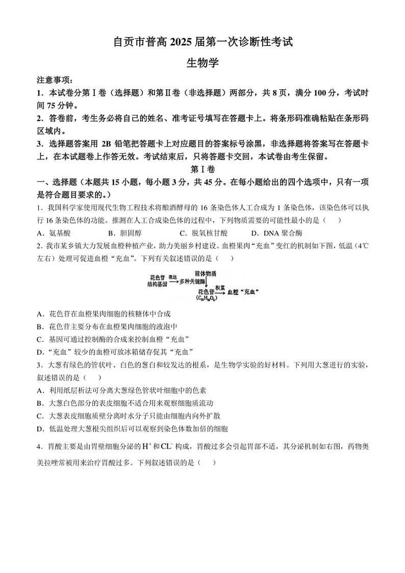 2024～2025学年四川省自贡市高三(上)第一次诊断性考试月考生物试卷(含答案)第1页