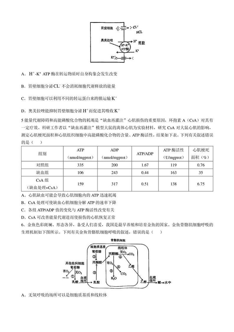 2024～2025学年四川省自贡市高三(上)第一次诊断性考试月考生物试卷(含答案)第2页