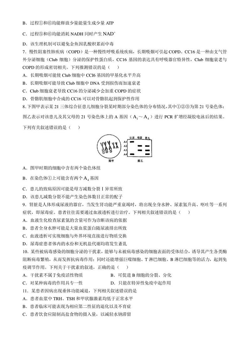 2024～2025学年四川省自贡市高三(上)第一次诊断性考试月考生物试卷(含答案)第3页