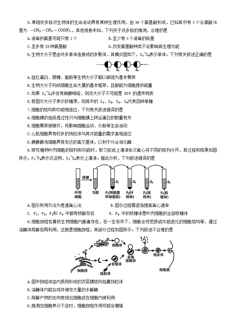 辽宁省普通高中20242025学年高一上学期12月联合考试生物试题第2页